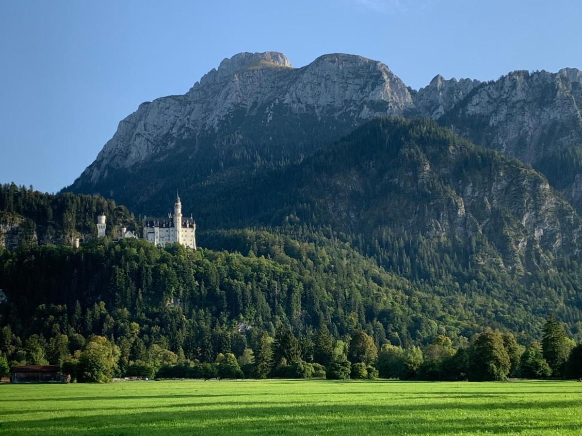 Erholsamer Traumurlaub Wo Auf Bergen Schloesser Wachsen Apartment